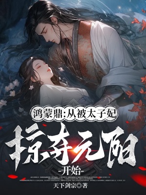鸿蒙鼎：从被太子妃掠夺元阳开始完整作品