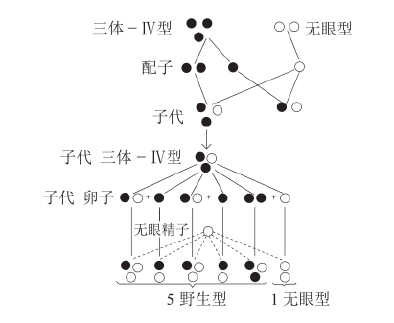 zhangyue-c
