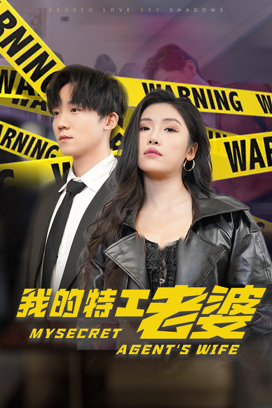 我的特工老婆