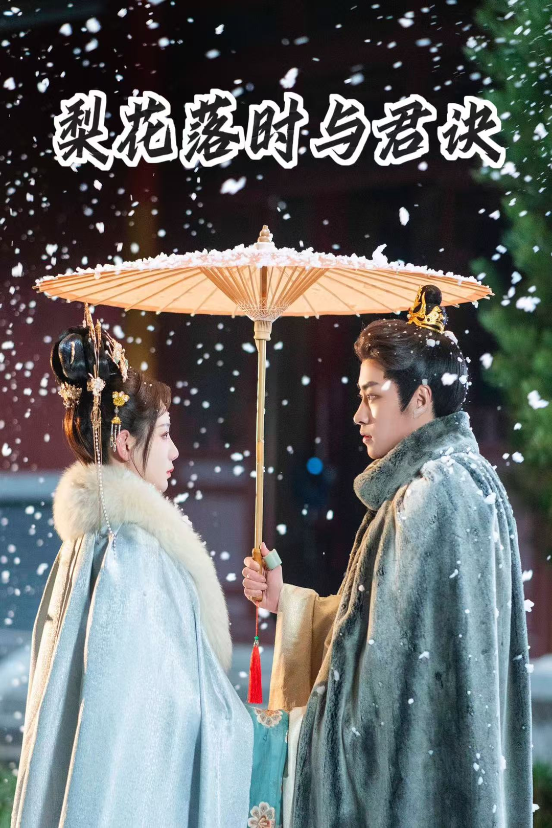 梨花落时与君诀