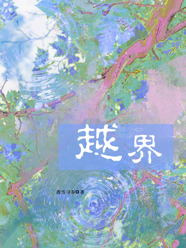 后续全文《越界》