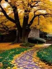 爱如流沙，终是消逝