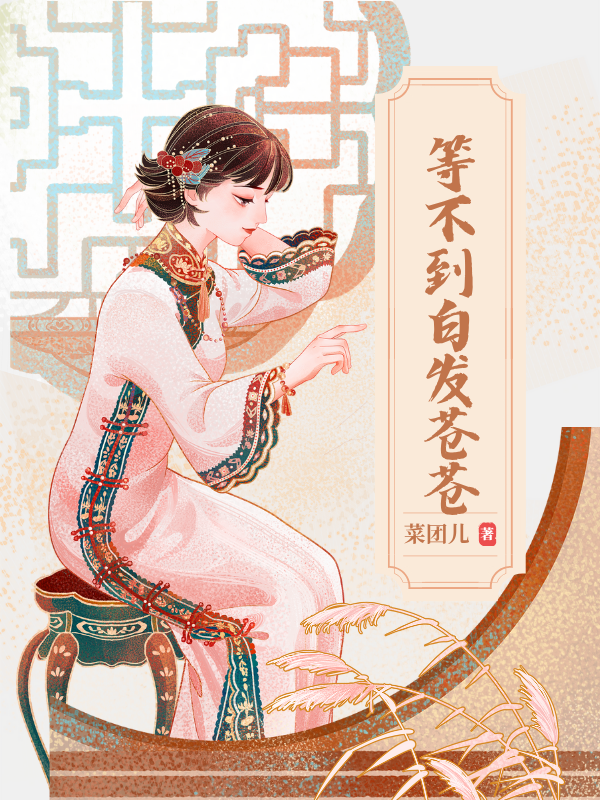 等不到白发苍苍爆款新文