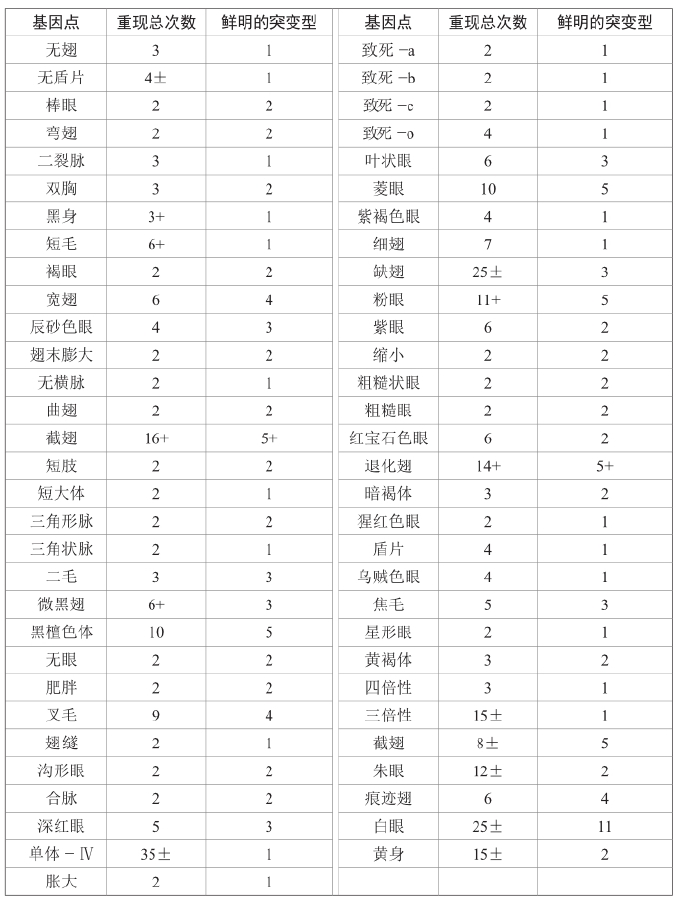 zhangyue-c