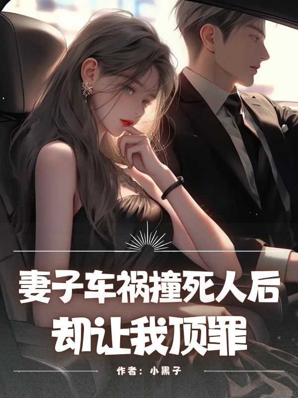 妻子車(chē)禍撞死人后，卻讓我頂罪（夏茹蘇輝）全網(wǎng)首發(fā)全章閱讀完美終章