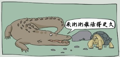 来比比谁活得更久