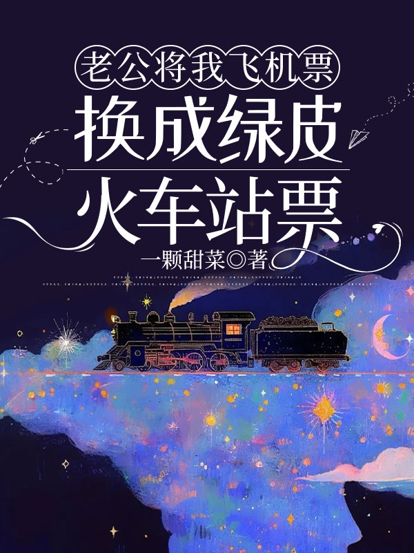老公将我飞机票换成绿皮火车站票